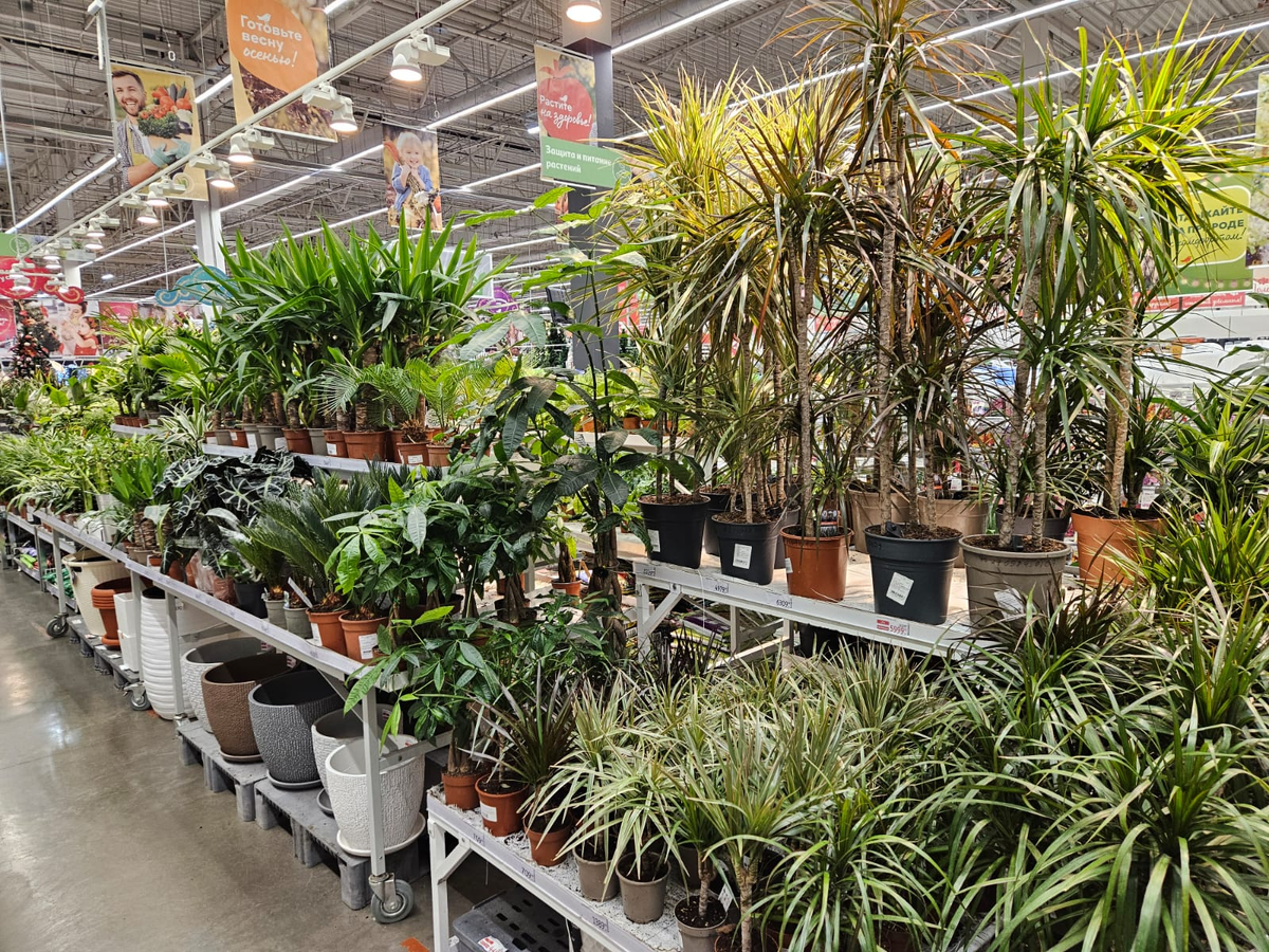 Выбор большой, а вот цены...