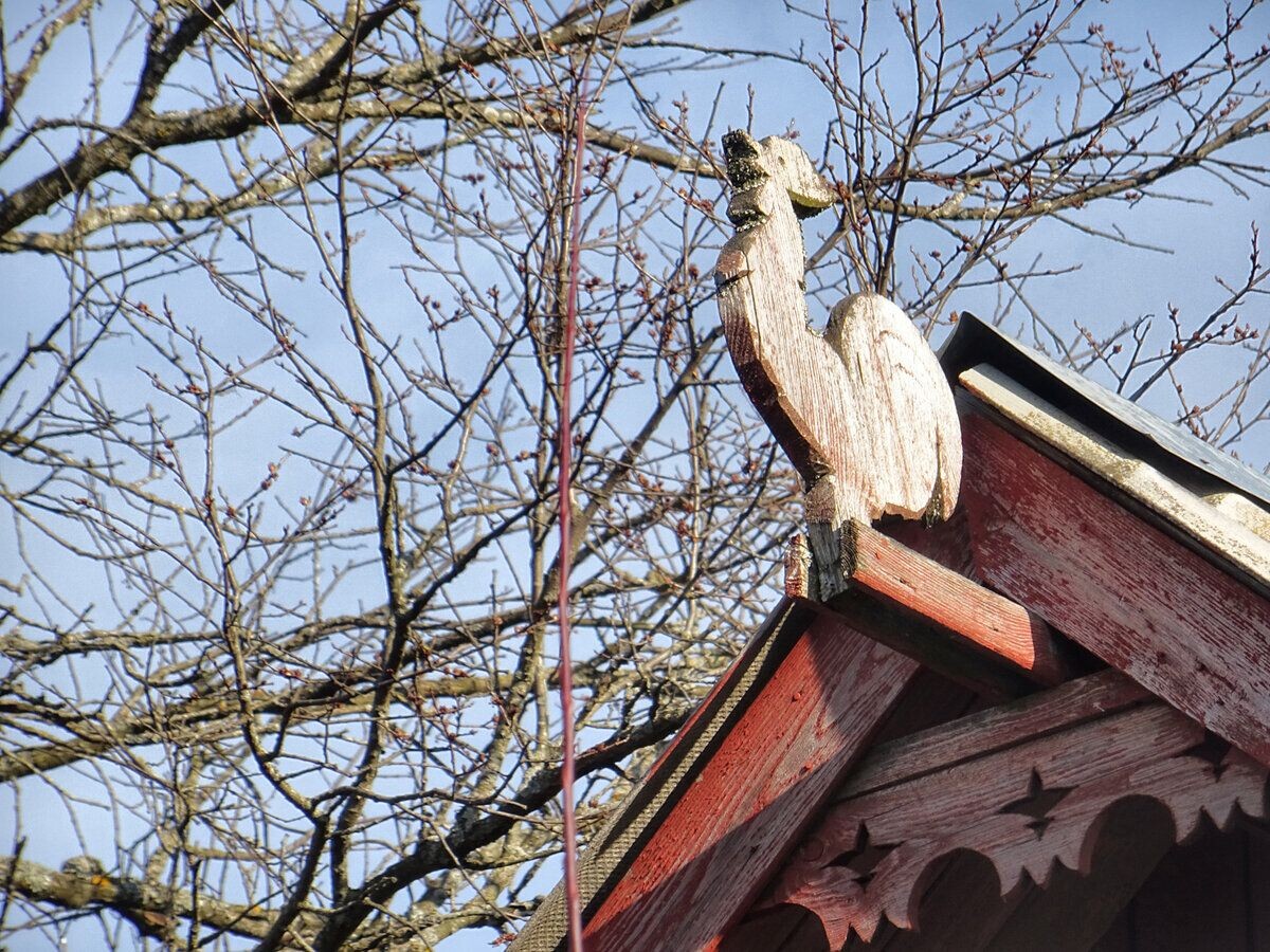 Деревня Рыкулино / Петушок на коньке