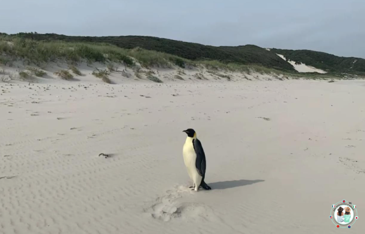 Из просторов инета