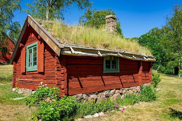    Фото: Rasmus Andersen / Unsplash