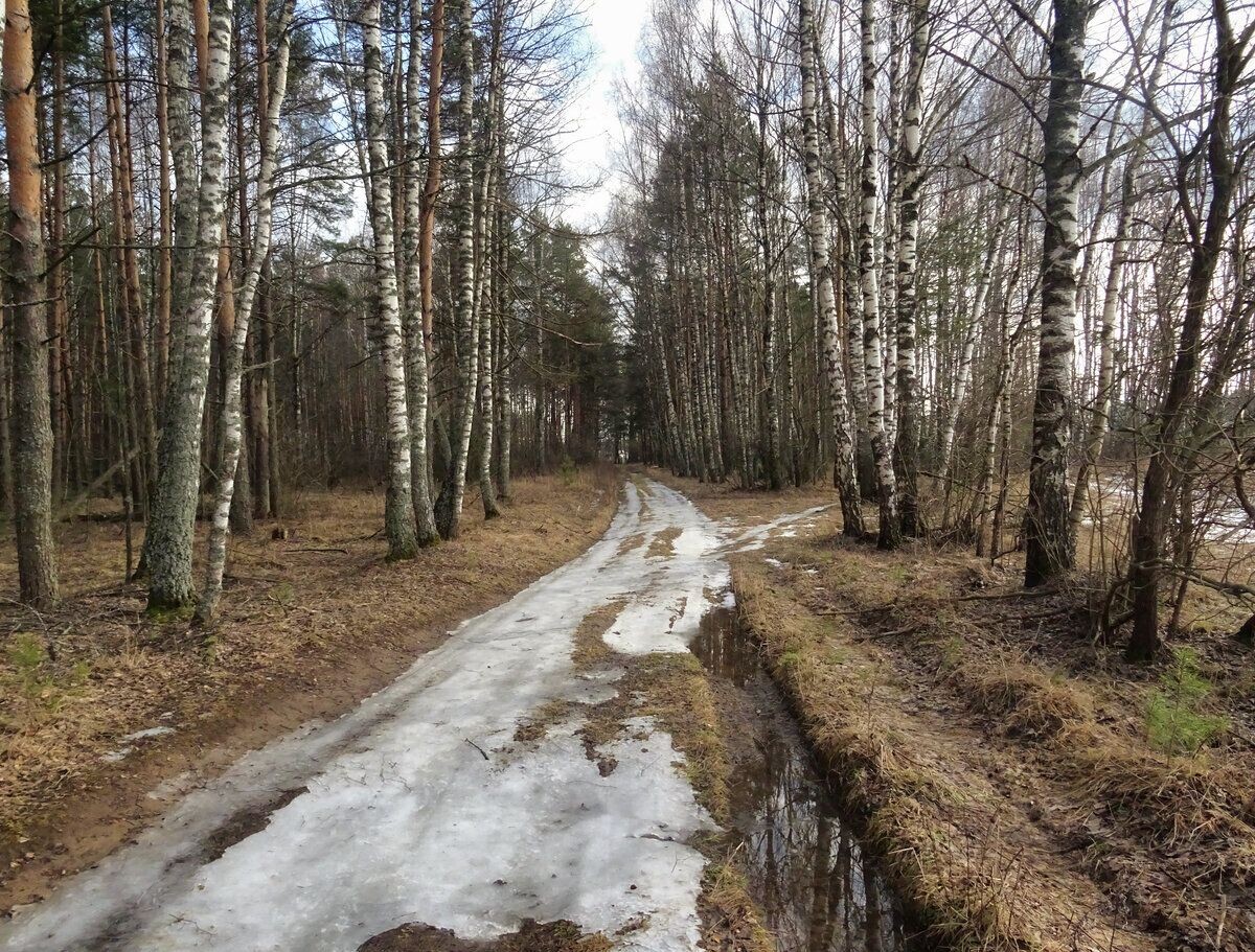 Путь дорога)