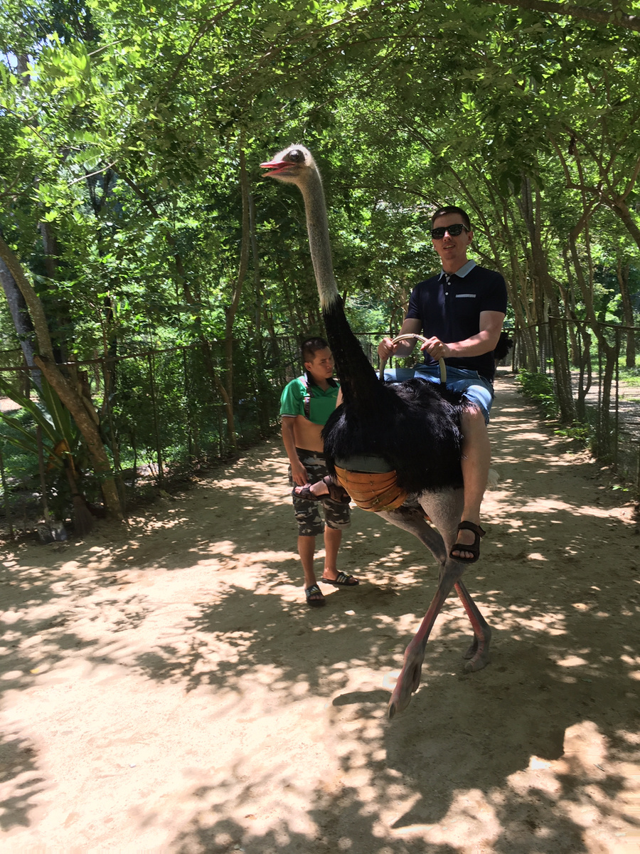 Когда меня спрашивают: "Твой самый весёлый день во Вьетнаме?" Я вспоминаю тот день когда катался на страусе! Вы только посмотрите!