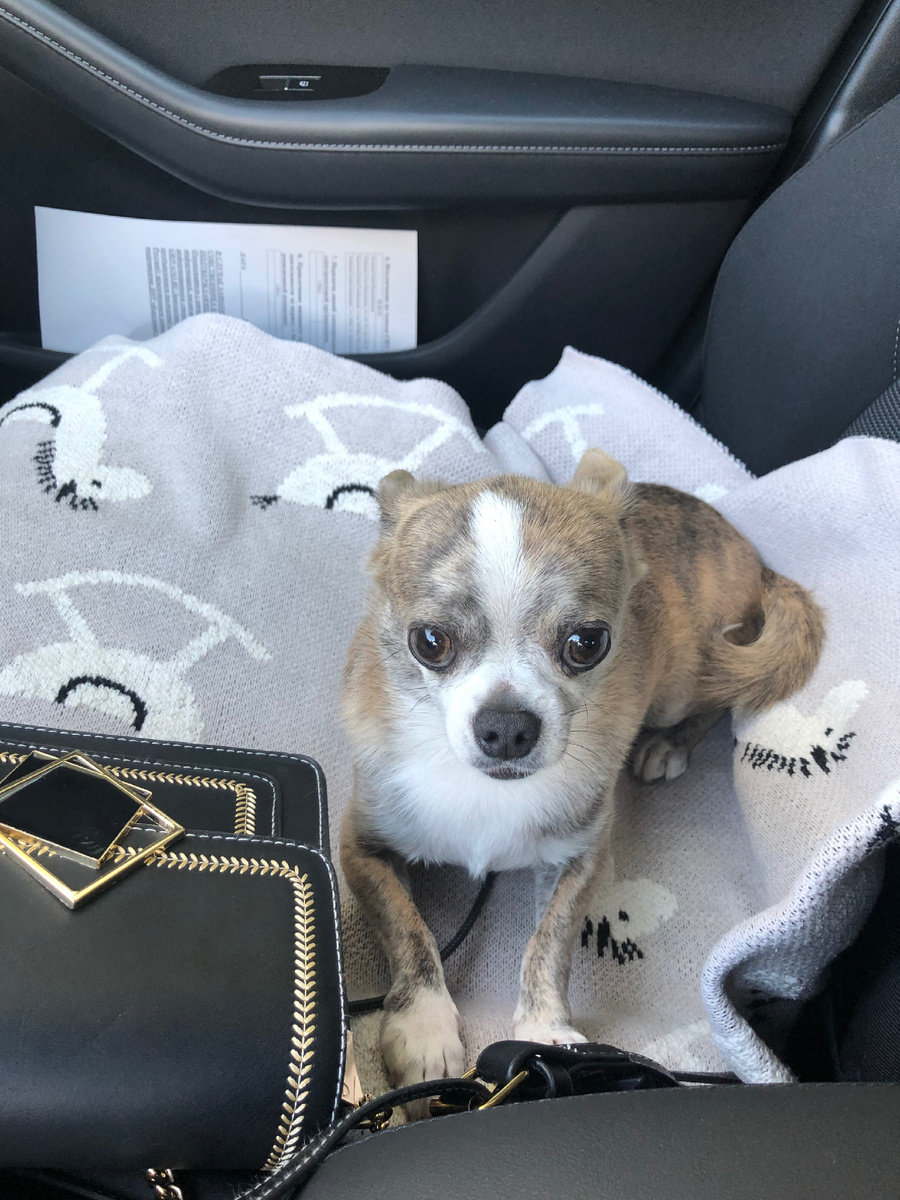 Тихон - во всей красе 2021 год