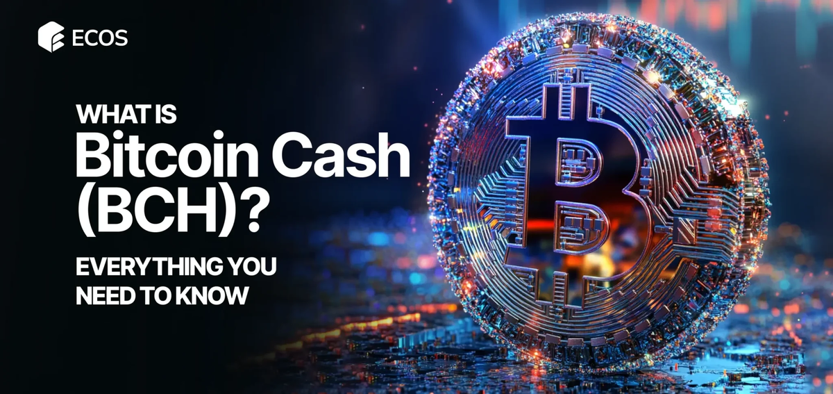 Что такое Bitcoin Cash (BCH)? Все, что вам нужно знать