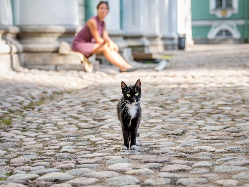 Фото: experience.tripster.ru