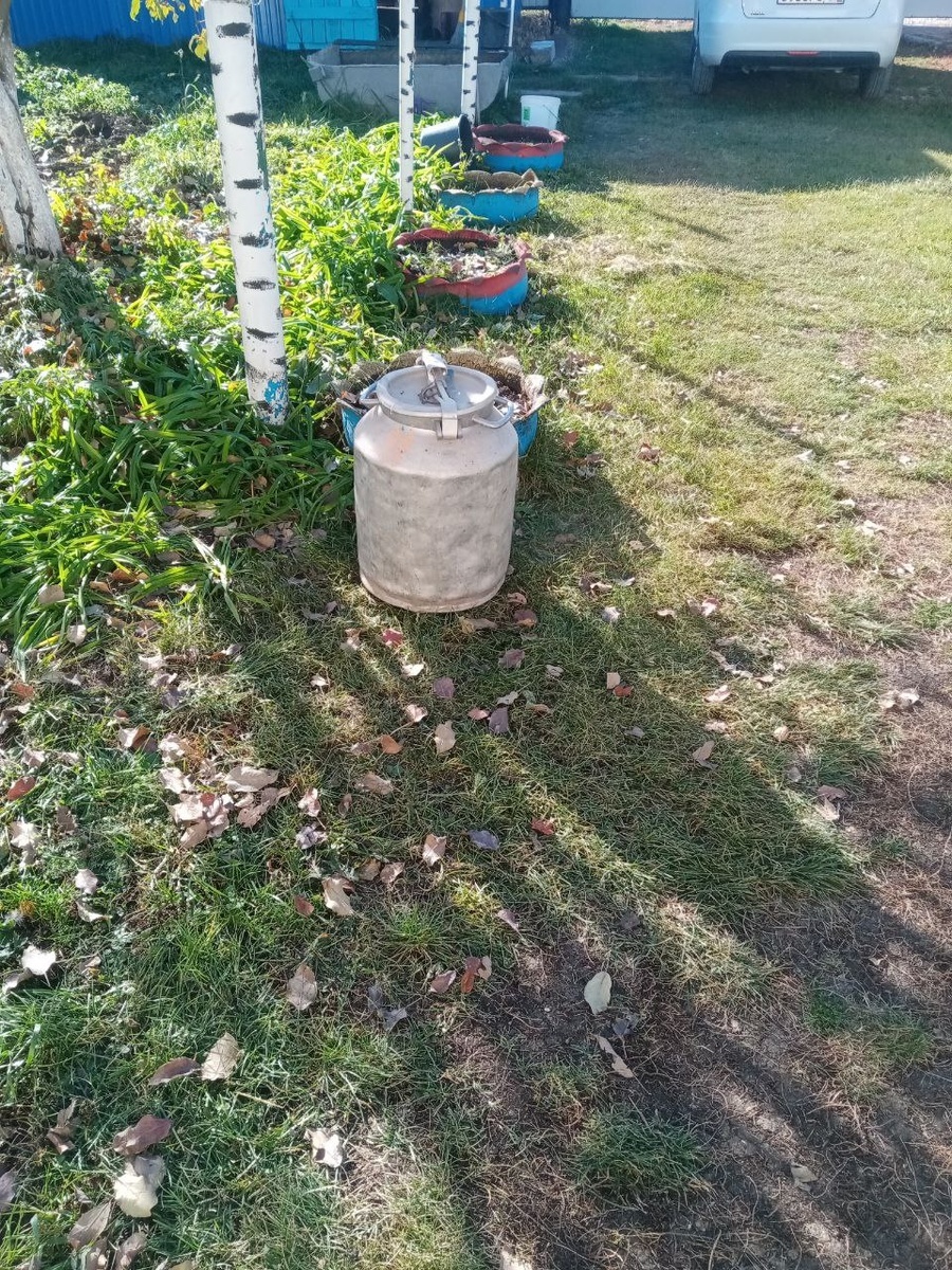 Добавьте описание