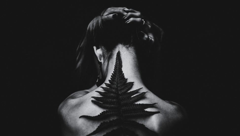 Автор изображения: Matheus Bertelli. Источник: Pexels.com