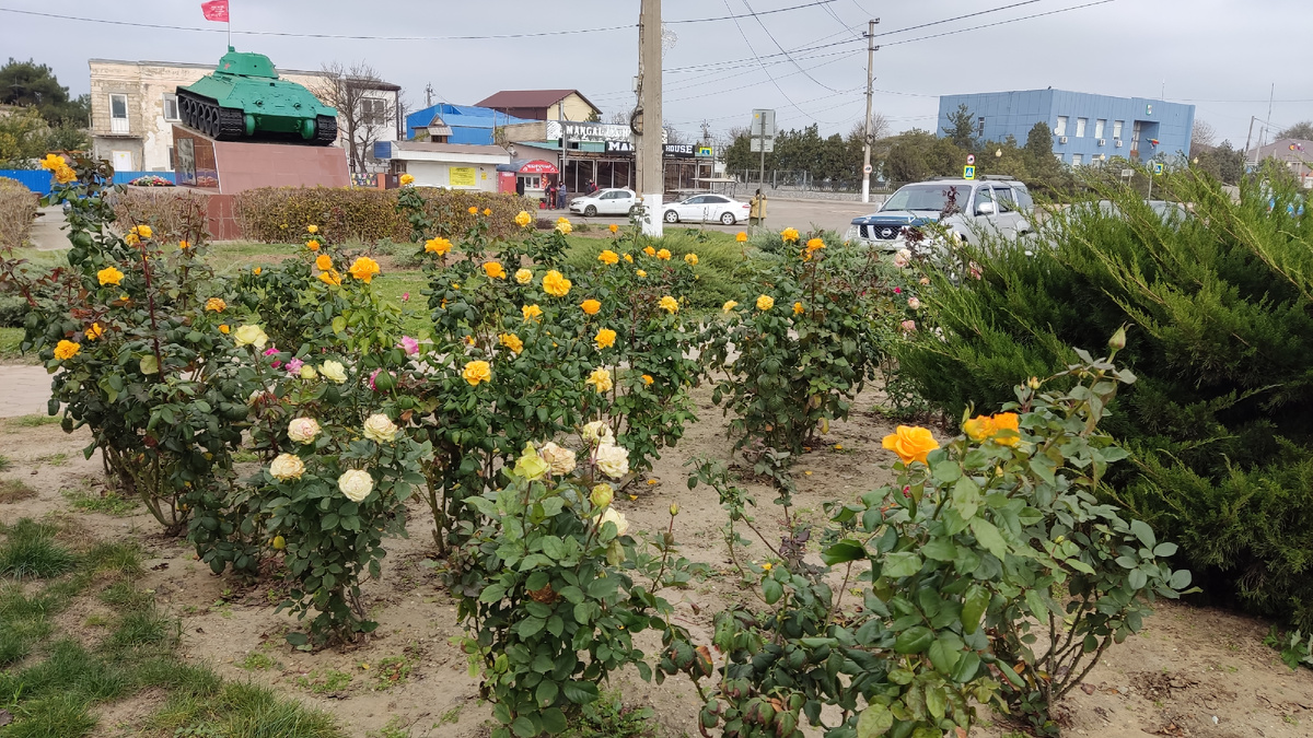Осенние улицы в ноябре в Тамани
