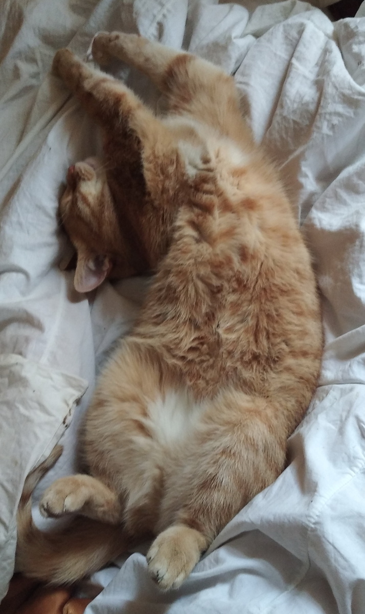 Личное  фото