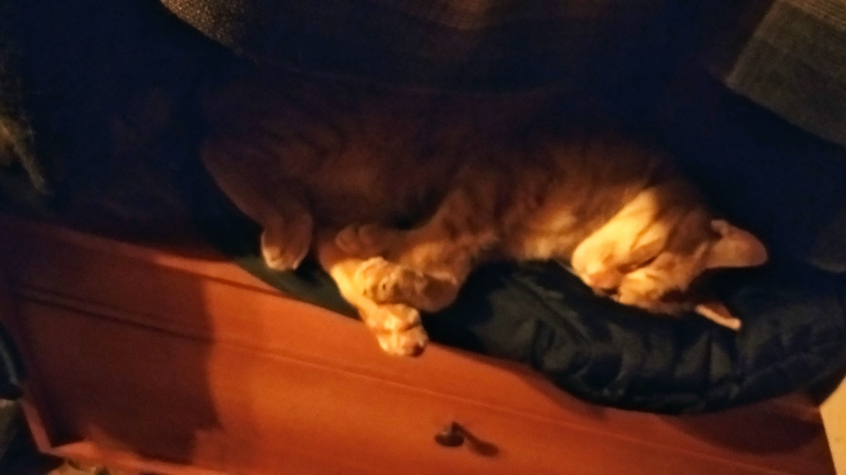 Личное  фото
