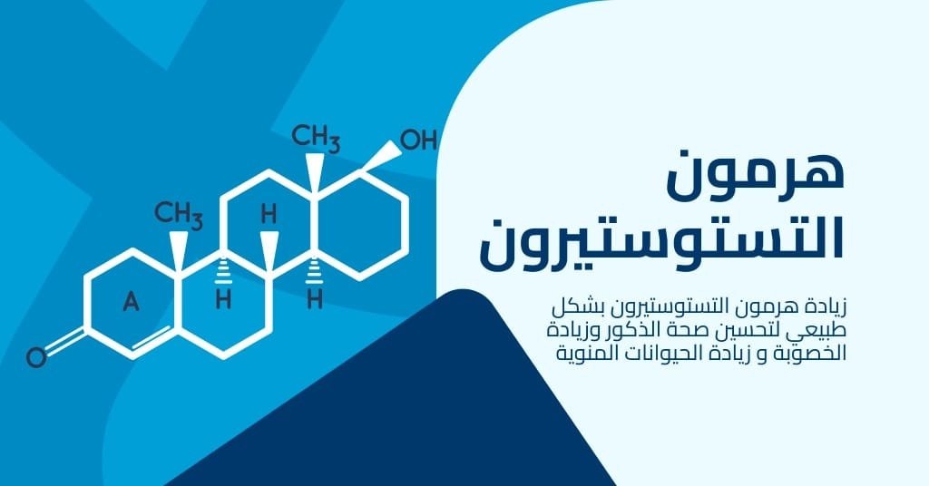 هرمون التستوستيرون وزيادته بشكل طبيعي و علاج هرمونات الذكورة زيادة الحيوانات المنوية