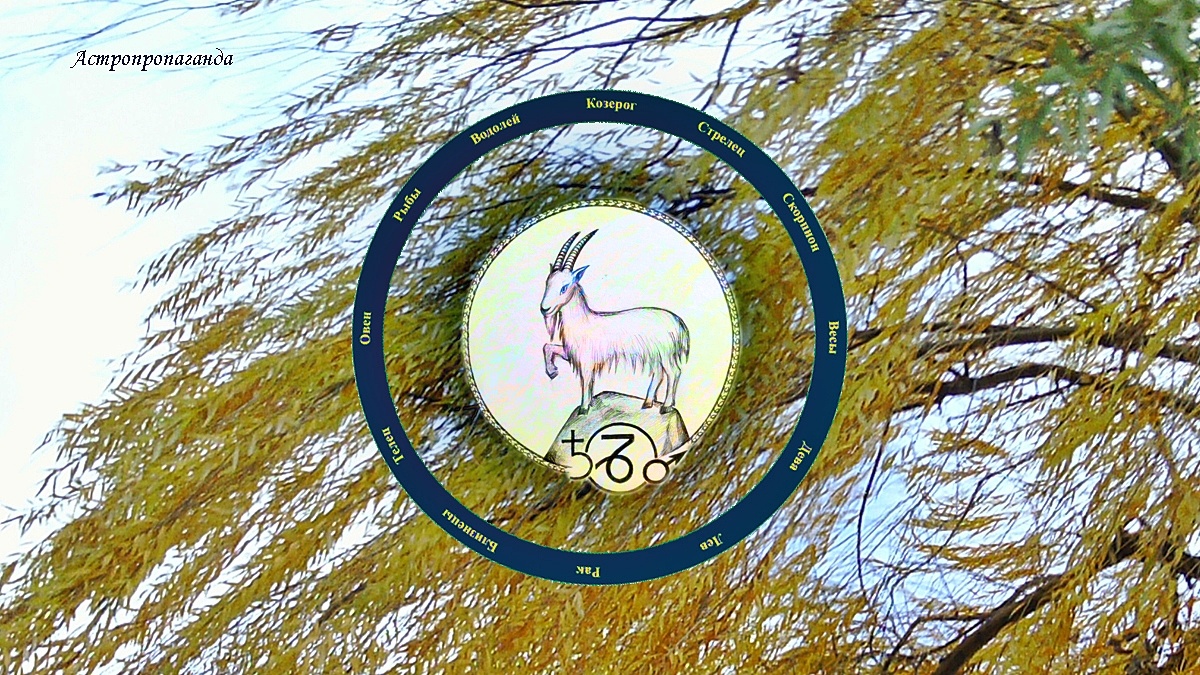 Знак Козерога: гороскоп на ноябрь 2024 | Гороскоп для Козерога с 4 ноября по 1 декабря 2024. 