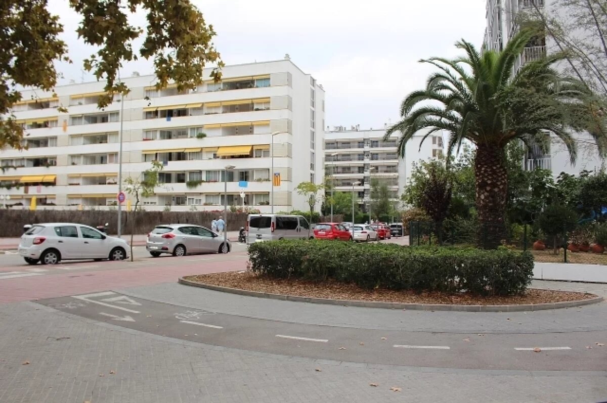    Nuevo Dia: более 50% жителей Пуэрто-Рико проголосовали за вступление в США