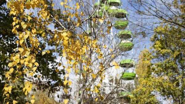    © РИА Новости Крым