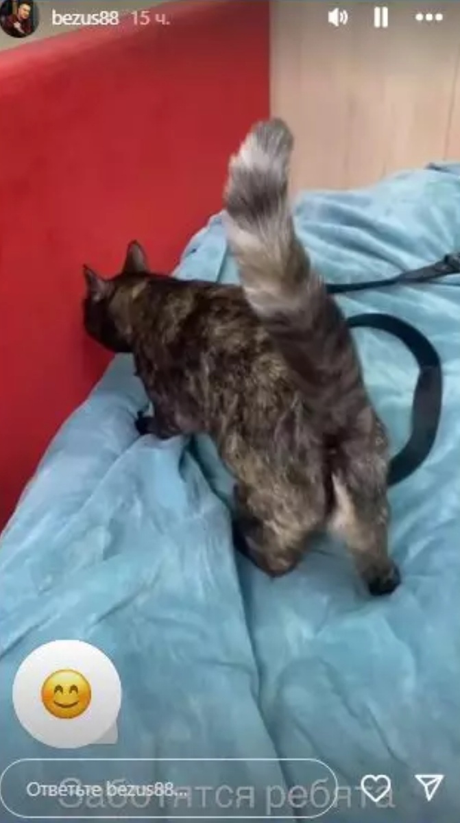 Фото взято в качестве иллюстрации. Источник: "Яндекс картинки"