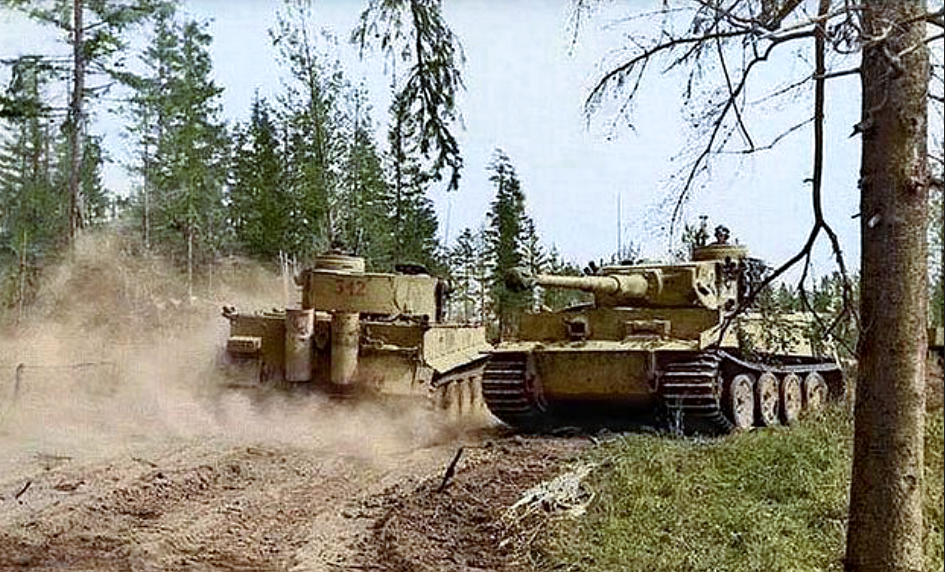 Тигры из 3 роты s.Pz.Abt. 502 северо-западнее Старой Руссы, 1943 г.