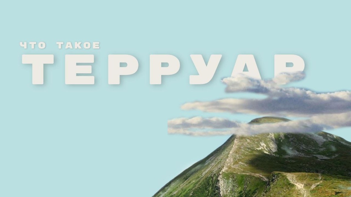 Что такое терруар?