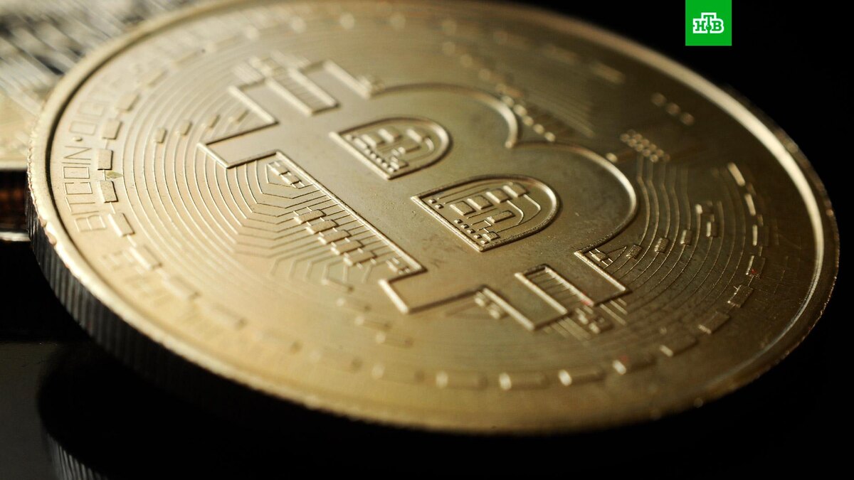    Фото: РИА Новости © 2024, Алексей Сухоруков