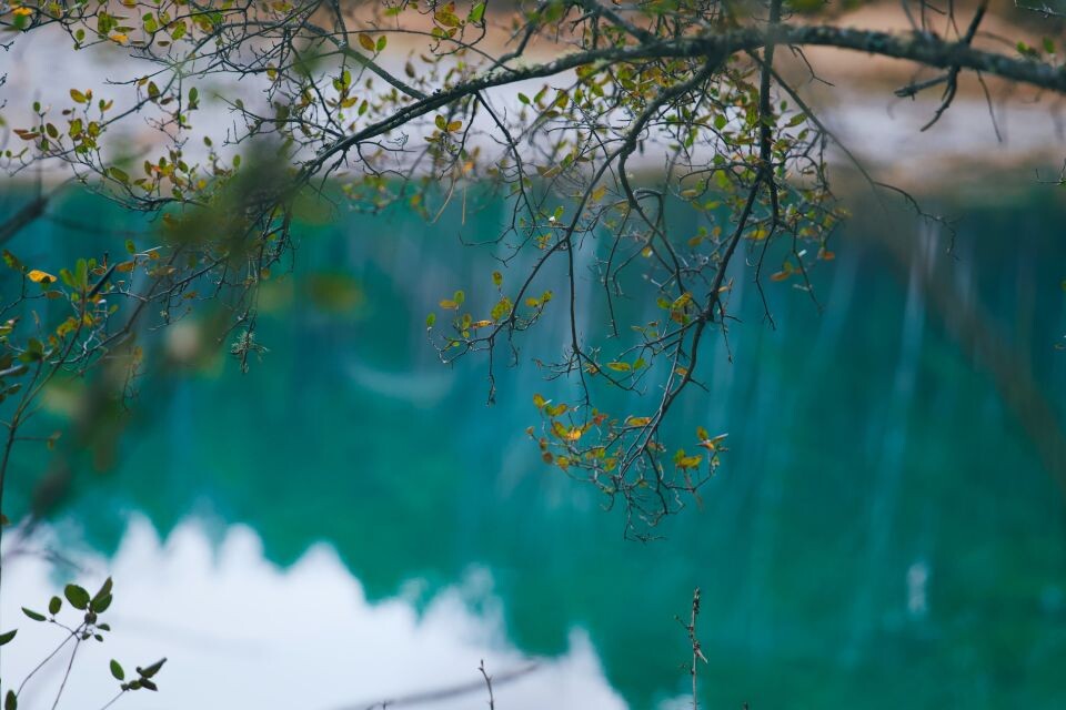    Голубые озера Алтая. Источник: Андрей Сороко / "Толк"