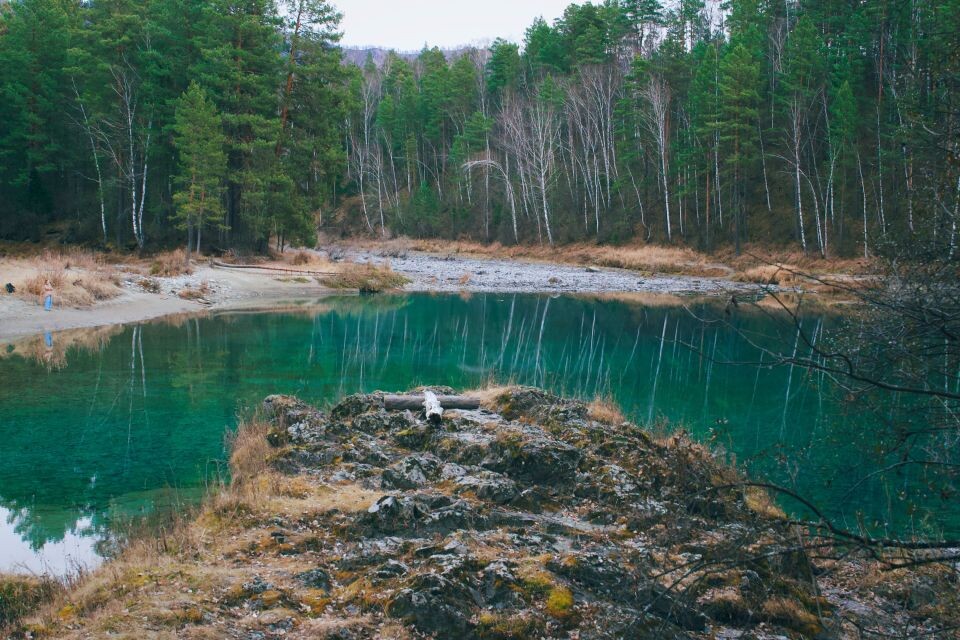    Голубые озера Алтая. Источник: Андрей Сороко / "Толк"