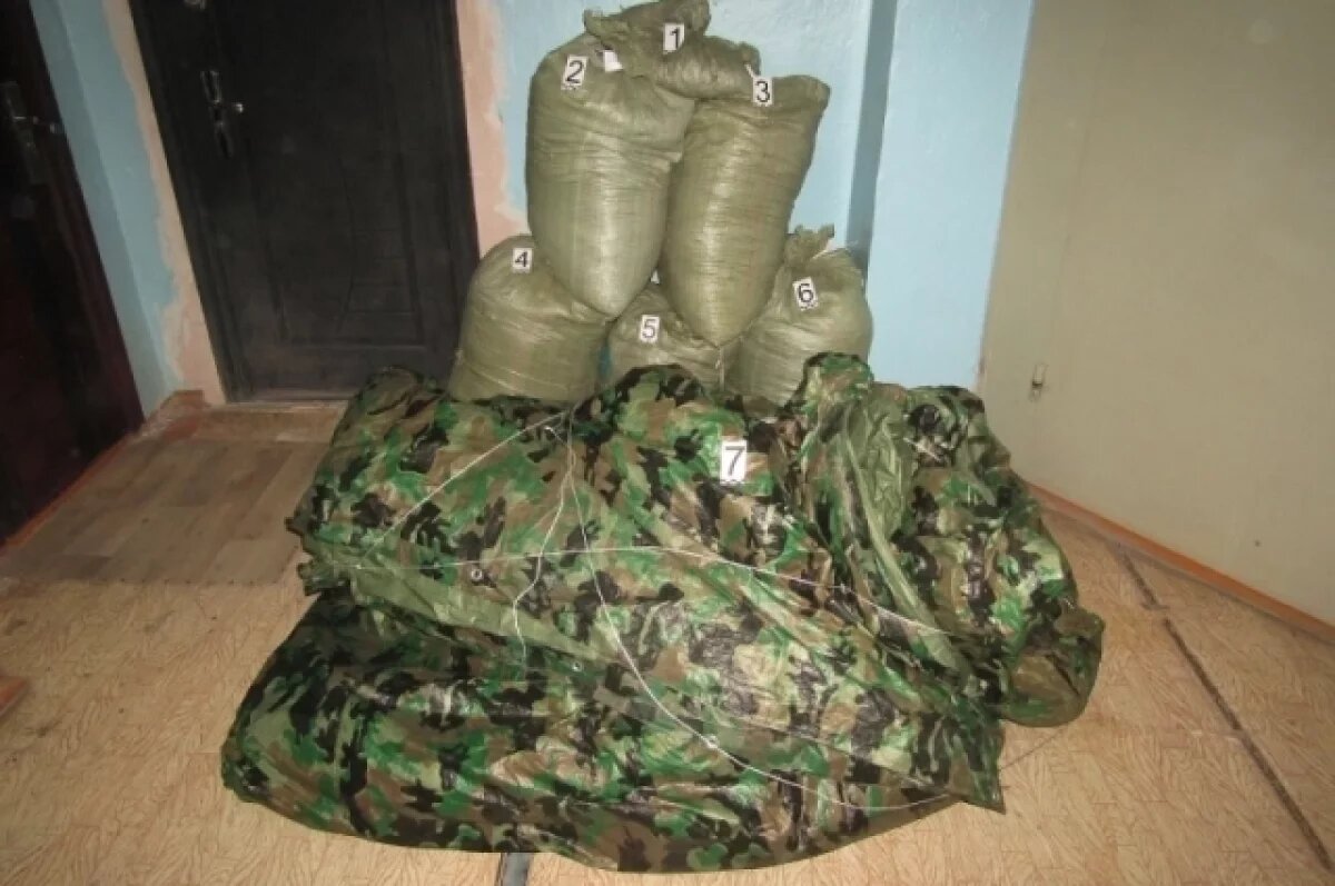    106 кг марихуаны: полиция Приморья задержала троих "сборщиков" конопли