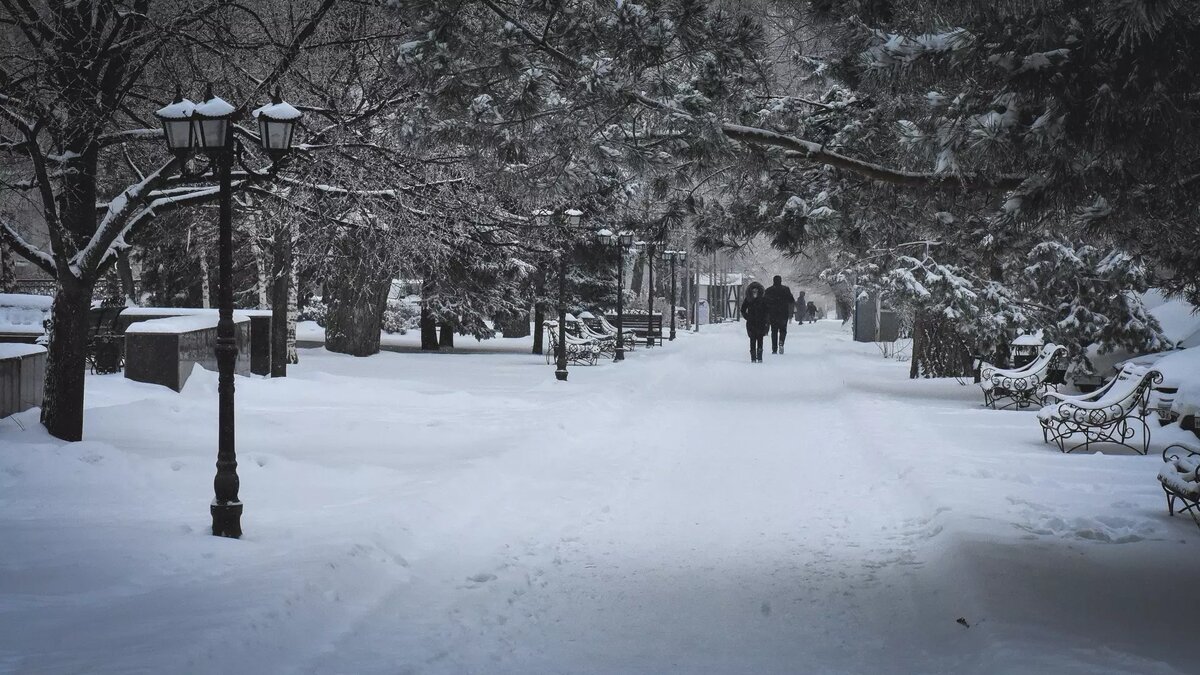     Источник: 1MI