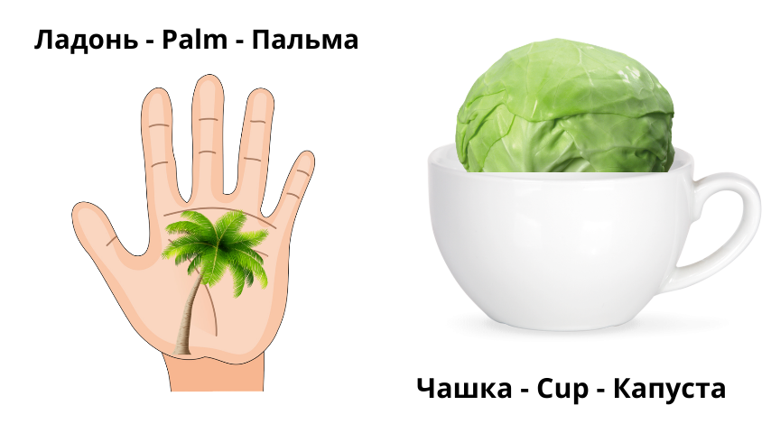 Схема для слов Palm и Cup