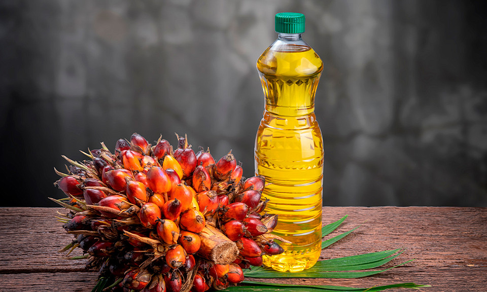 Фото с сайта adobestock.com