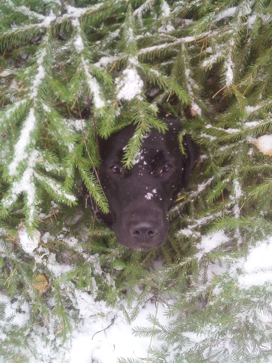 Фото автора.