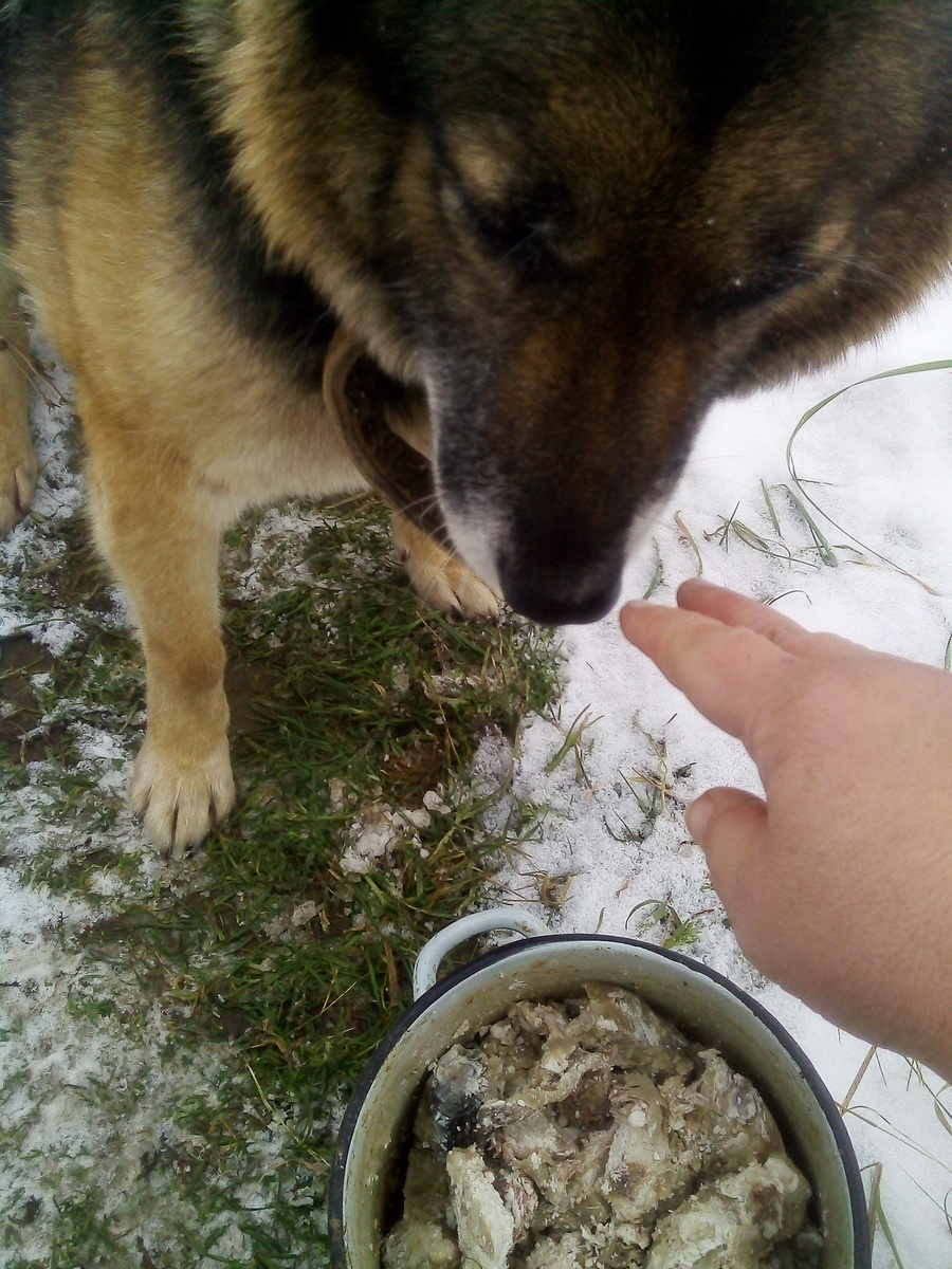 Фото автора.