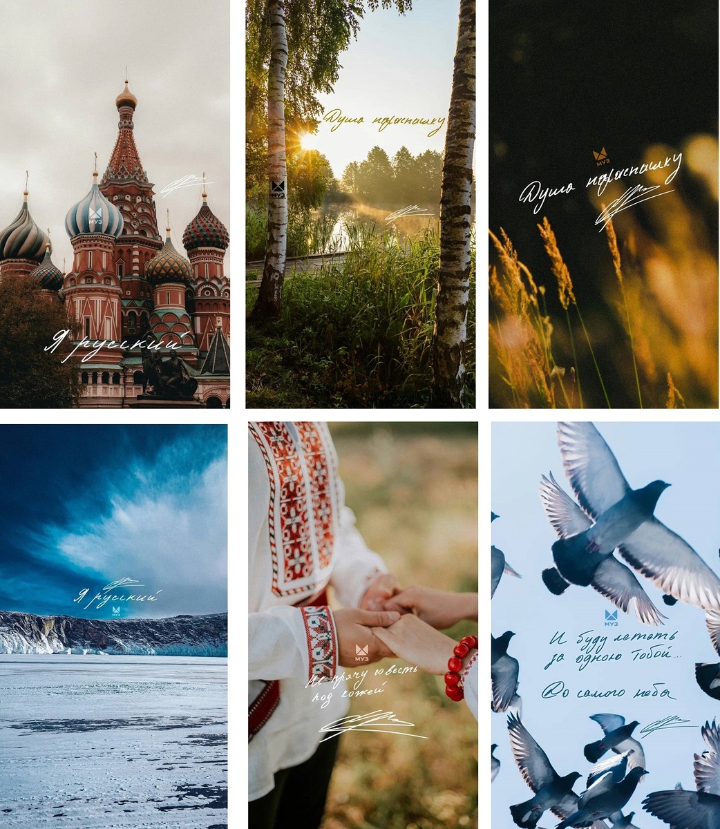 В обоях есть автограф SHAMAN'а. Фото: МУЗ-ТВ.