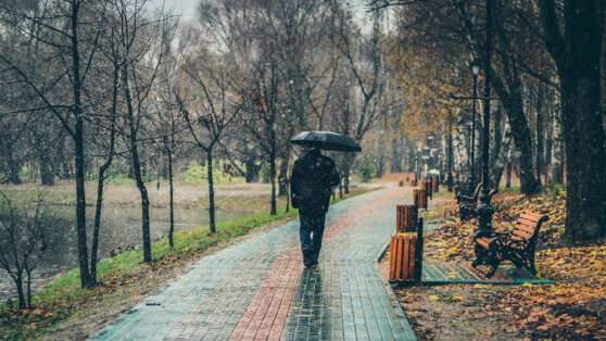    7 ноября в Москве ожидается облачная погода с прояснениями, местами небольшой дождь Егор Гордеев