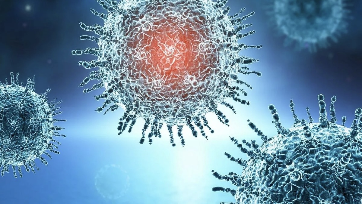 Фото взято из открытых источников 