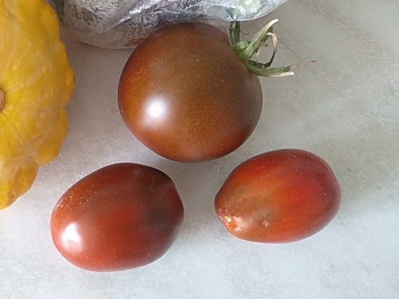 Помидоры «Чёрный мавр»