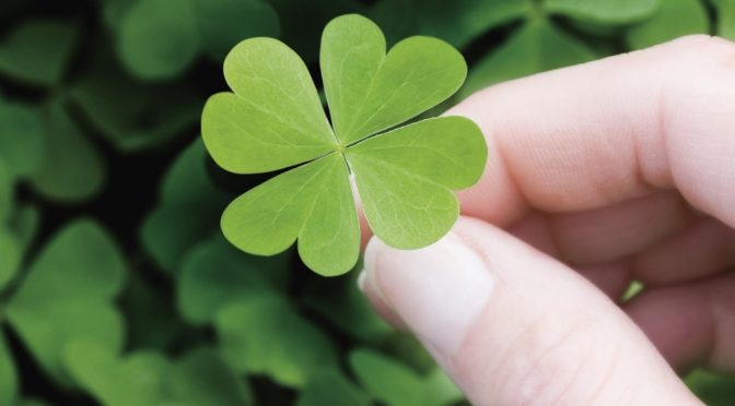 Фото взято из открытых источников 