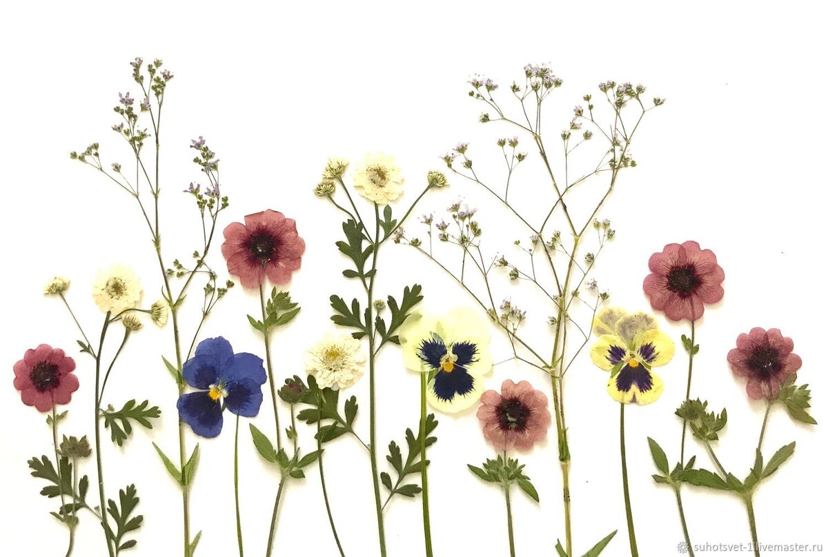 Фото позаимствовано с сайта "Ярмарка мастеров".