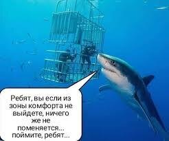 Моя любимая картинка на тему зоны комфорта. Источник: Пикабу 