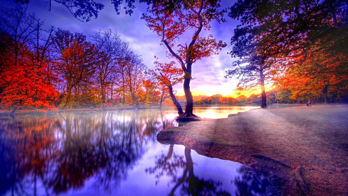 Фото взято из интернета.