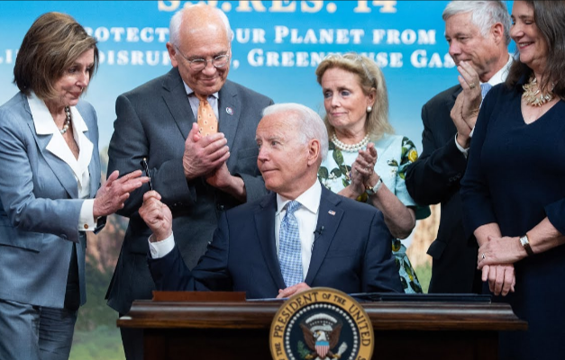 Нэнси, вы все зря меня лишили выборов.