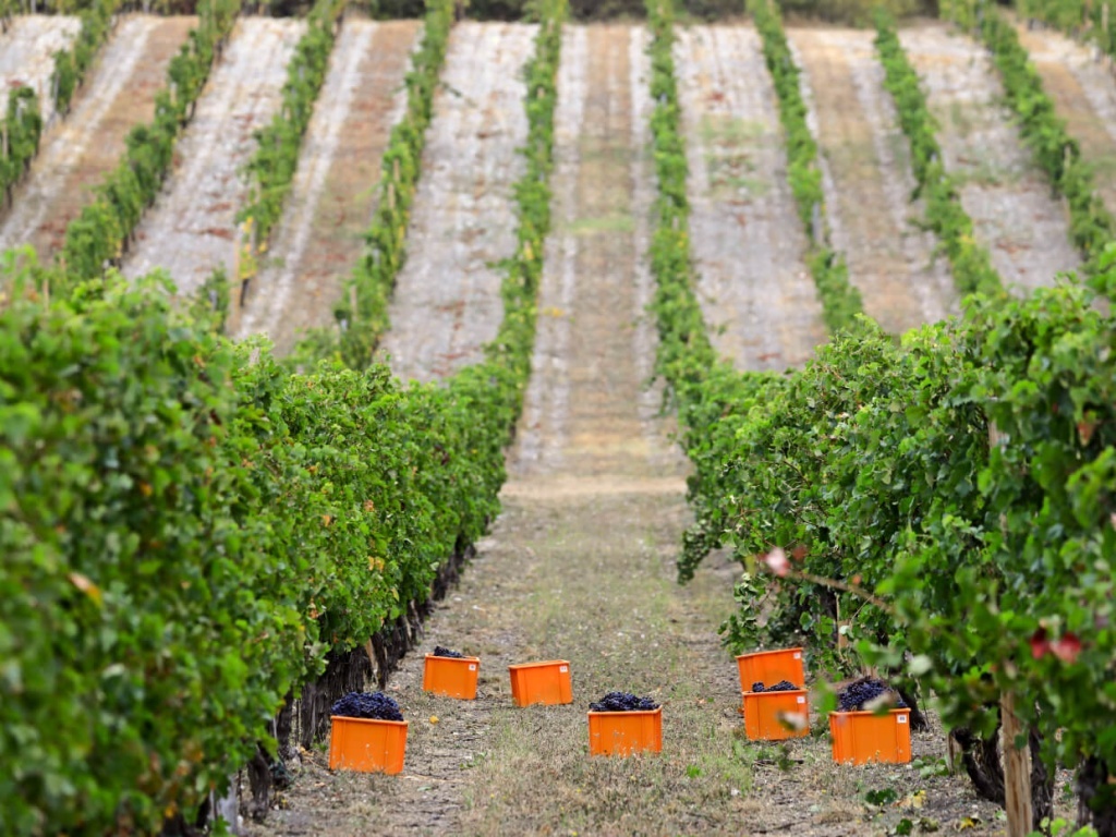 Фото: Александр Рюмин/ТАСС