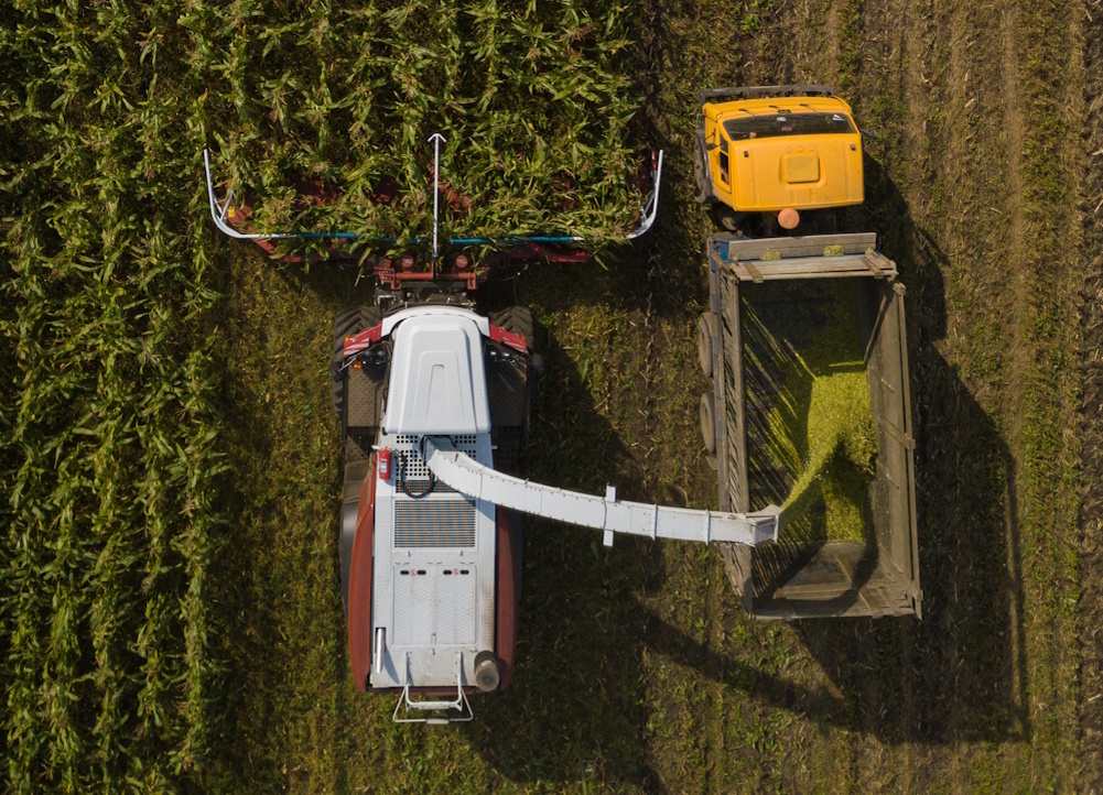 Кормоуборочный комбайн Ростсельмаш в деле