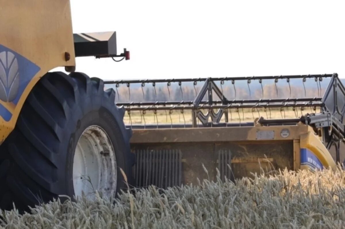    В Свердловской области превысили план по уборке урожая