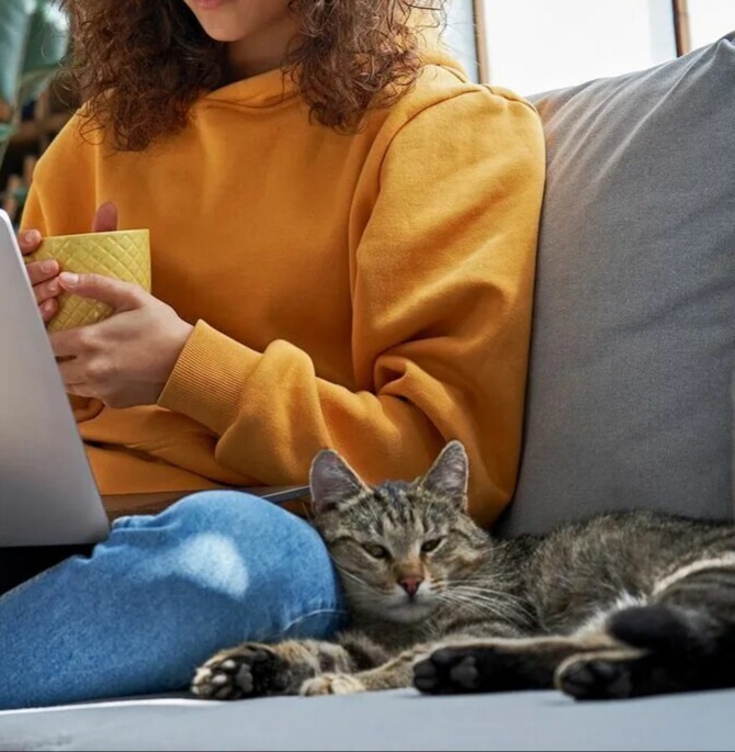 Яндекс картинки