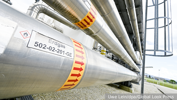     Фото: Uwe Lein/dpa/Global Look Press   
 Текст: Ольга Самофалова