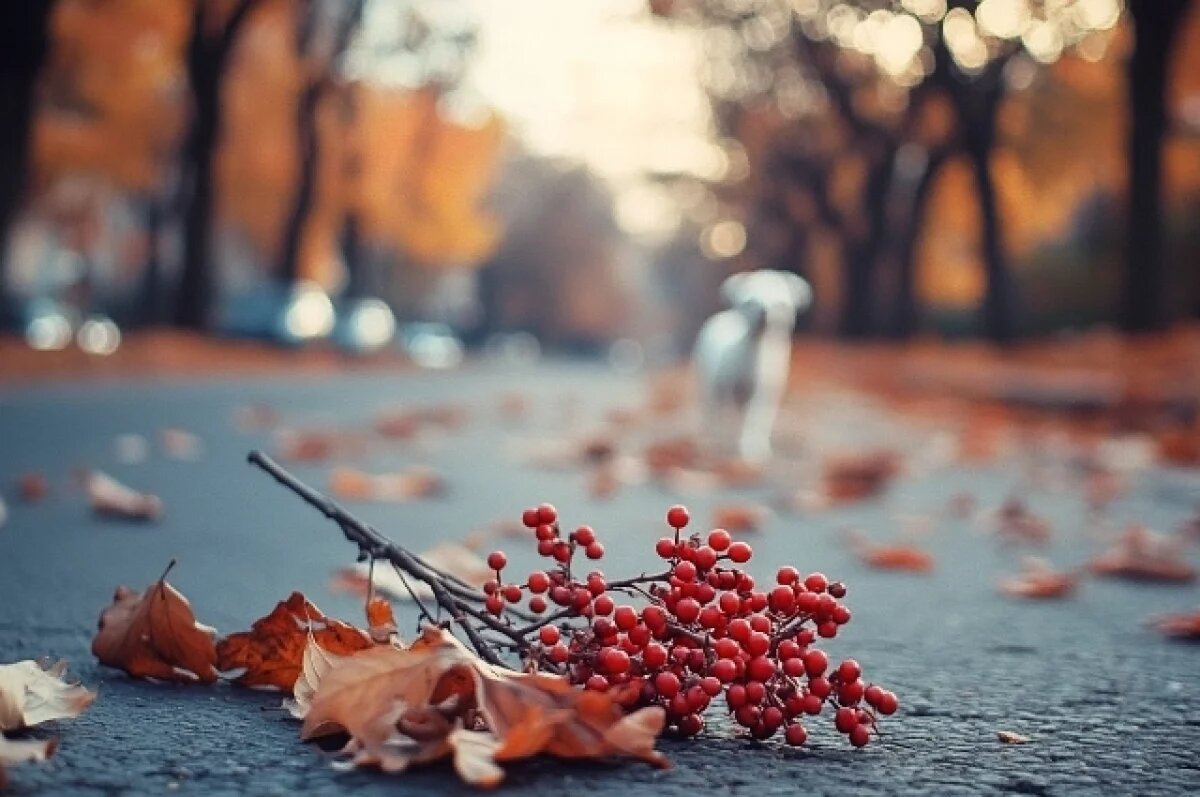    Слабая морось ожидаются в Псковской области 7 ноября