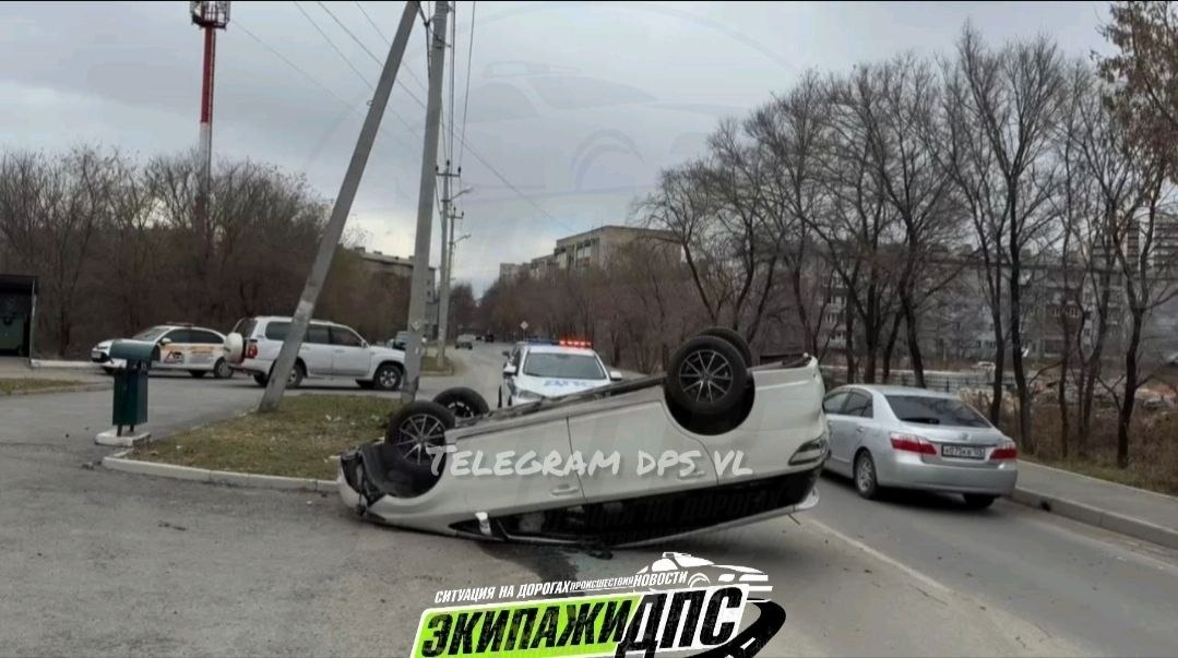     Источник: DPS VL