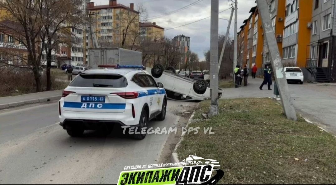     Источник: DPS VL