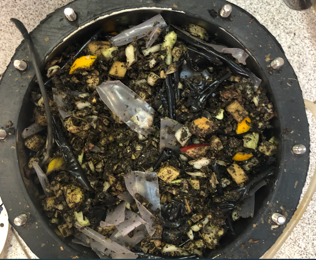 Фото: ФИЦ Биотехнологии РАН