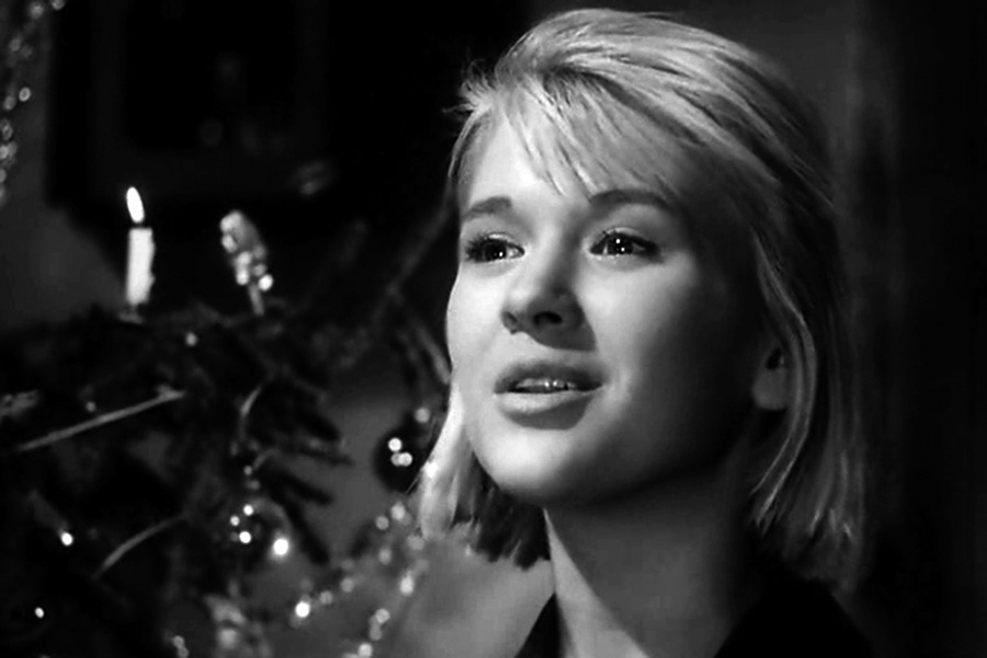 "Дикая собака Динго"