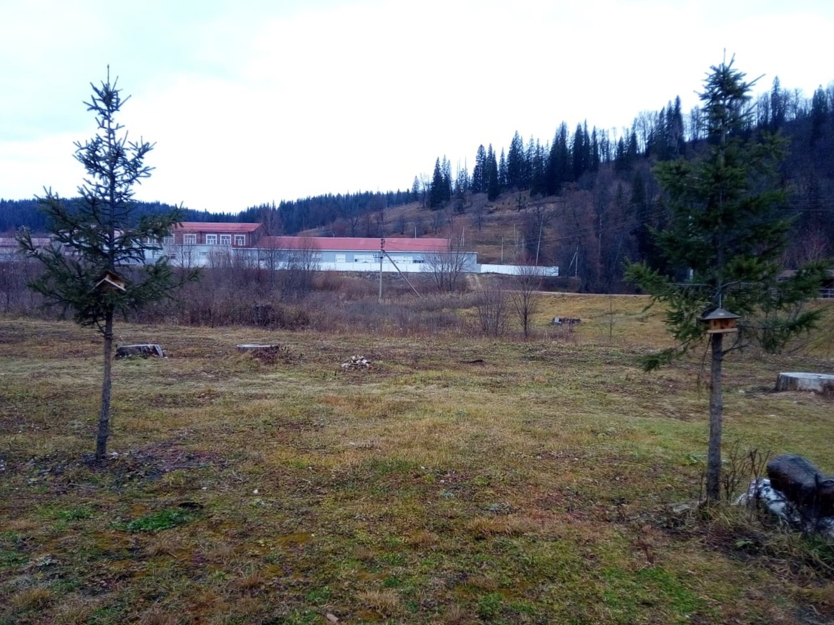 Фото: Из архива автора